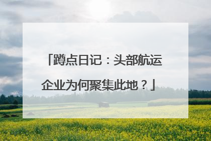 蹲点日记：头部航运企业为何聚集此地？