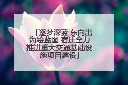 逐梦深蓝 东向出海绘蓝图 宿迁全力推进重大交通基础设施项目建设
