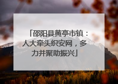 邵阳县黄亭市镇：人大牵头织安网，多力并聚助振兴