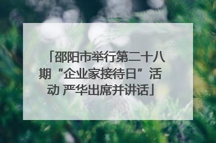 邵阳市举行第二十八期“企业家接待日”活动 严华出席并讲话