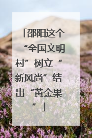 邵阳这个“全国文明村”树立“新风尚”结出“黄金果”
