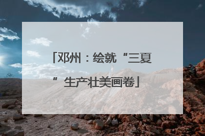 邓州：绘就“三夏”生产壮美画卷