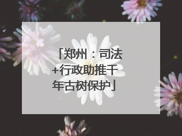 郑州：司法+行政助推千年古树保护