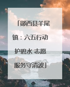 郧西县羊尾镇：六五行动护碧水 志愿服务守清波