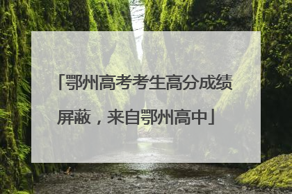鄂州高考考生高分成绩屏蔽，来自鄂州高中