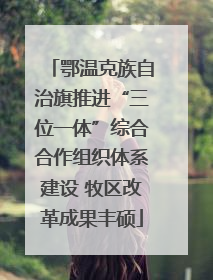 鄂温克族自治旗推进“三位一体”综合合作组织体系建设 牧区改革成果丰硕