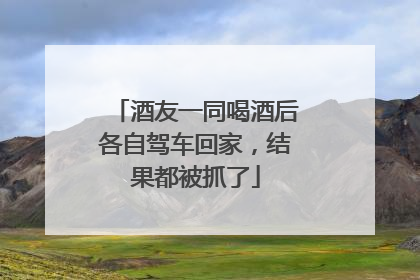 酒友一同喝酒后各自驾车回家，结果都被抓了