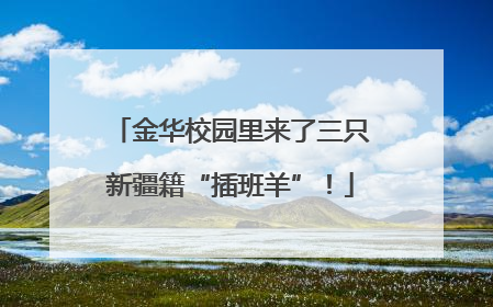 金华校园里来了三只新疆籍“插班羊”！