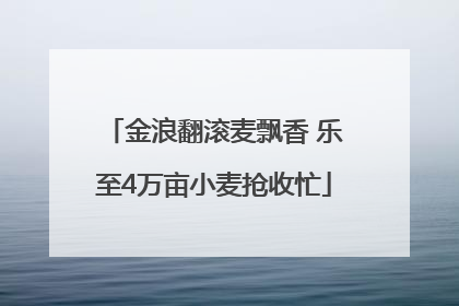 金浪翻滚麦飘香 乐至4万亩小麦抢收忙