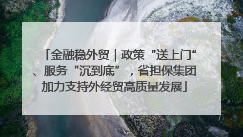 金融稳外贸｜政策“送上门”、服务“沉到底”，省担保集团加力支持外经贸高质量发展