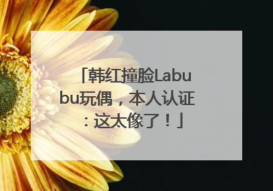 韩红撞脸Labubu玩偶，本人认证：这太像了！