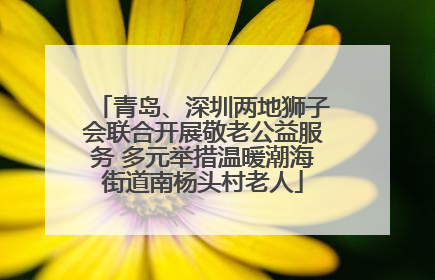 青岛、深圳两地狮子会联合开展敬老公益服务 多元举措温暖潮海街道南杨头村老人