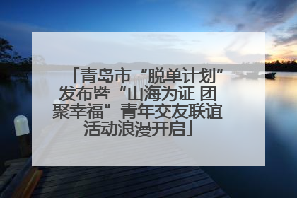 青岛市“脱单计划”发布暨“山海为证 团聚幸福”青年交友联谊活动浪漫开启