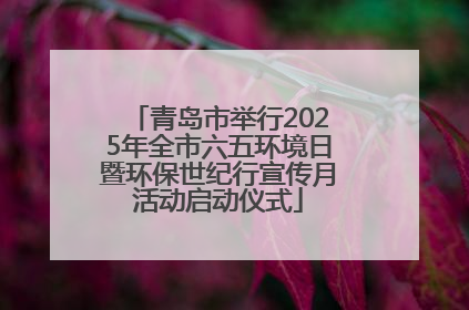 青岛市举行2025年全市六五环境日暨环保世纪行宣传月活动启动仪式