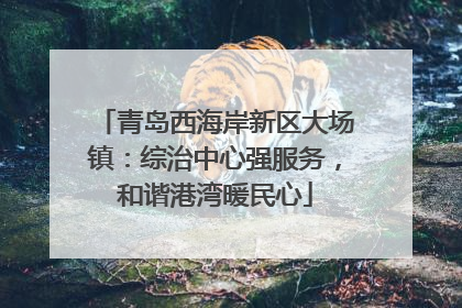 青岛西海岸新区大场镇：综治中心强服务，和谐港湾暖民心