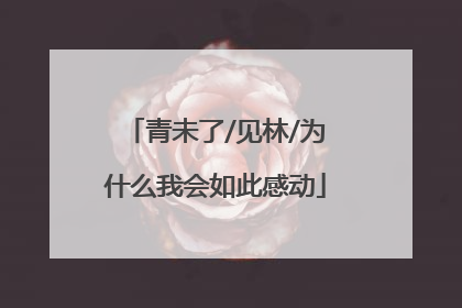 青未了/见林/为什么我会如此感动