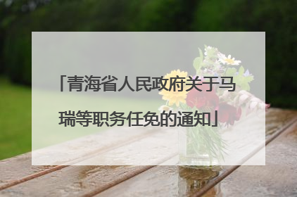 青海省人民政府关于马瑞等职务任免的通知