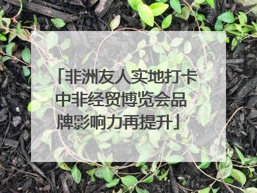 非洲友人实地打卡 中非经贸博览会品牌影响力再提升