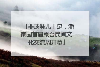 非遗味儿十足，潘家园首届京台民间文化交流周开幕