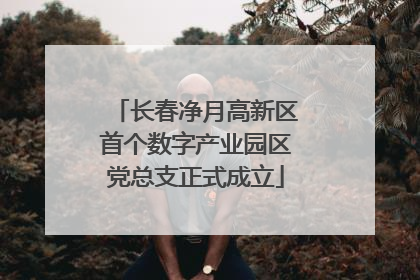 长春净月高新区首个数字产业园区党总支正式成立