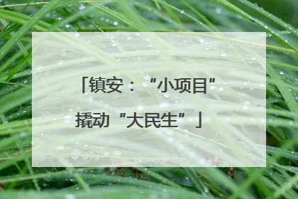 镇安：“小项目”撬动“大民生”