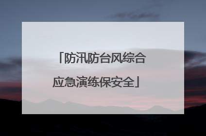 防汛防台风综合应急演练保安全