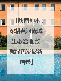 陕西神木：深耕黄河流域生态治理 绘就绿色发展新画卷