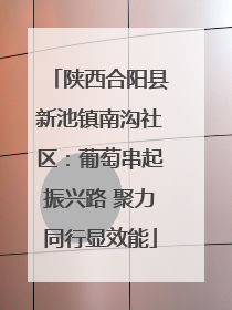 陕西合阳县新池镇南沟社区：葡萄串起振兴路 聚力同行显效能