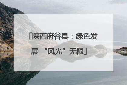 陕西府谷县：绿色发展 “风光”无限