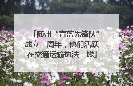 随州“青蓝先锋队”成立一周年，他们活跃在交通运输执法一线