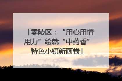 零陵区：“用心用情用力”绘就“中药香”特色小镇新画卷