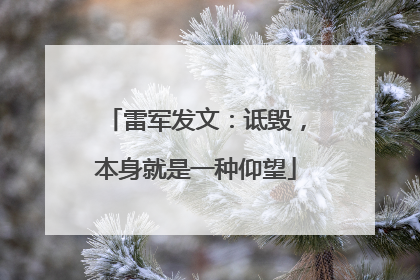 雷军发文：诋毁，本身就是一种仰望