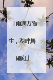 雨润万物生，湖畔舞翩跹