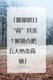 霸都夏日“荷”其美？解锁合肥五大绝美荷塘