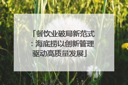 餐饮业破局新范式：海底捞以创新管理驱动高质量发展