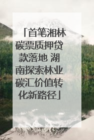首笔湘林碳票质押贷款落地 湖南探索林业碳汇价值转化新路径