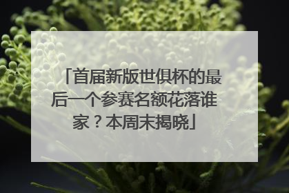 首届新版世俱杯的最后一个参赛名额花落谁家？本周末揭晓