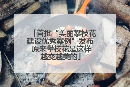 首批“美丽攀枝花建设优秀案例”发布 原来攀枝花是这样越变越美的