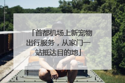 首都机场上新宠物出行服务，从家门一站抵达目的地