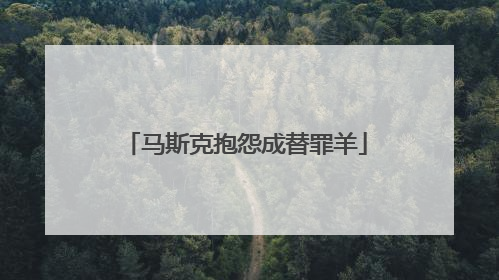 马斯克抱怨成替罪羊