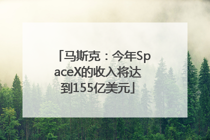马斯克：今年SpaceX的收入将达到155亿美元