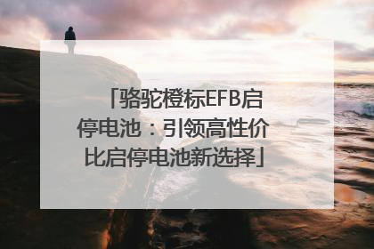 骆驼橙标EFB启停电池：引领高性价比启停电池新选择