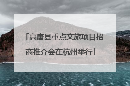 高唐县重点文旅项目招商推介会在杭州举行