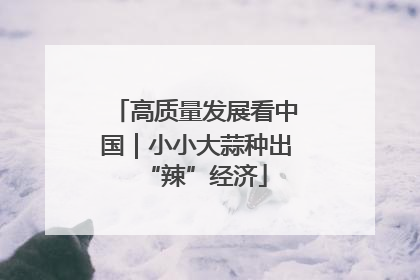高质量发展看中国｜小小大蒜种出“辣”经济