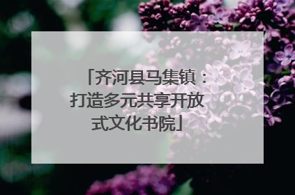 齐河县马集镇：打造多元共享开放式文化书院