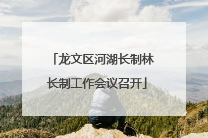 龙文区河湖长制林长制工作会议召开