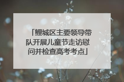 鲤城区主要领导带队开展儿童节走访慰问并检查高考考点