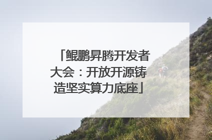 鲲鹏昇腾开发者大会：开放开源铸造坚实算力底座