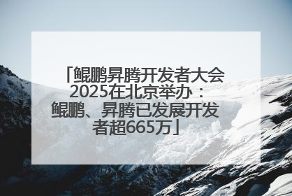 鲲鹏昇腾开发者大会2025在北京举办：鲲鹏、昇腾已发展开发者超665万