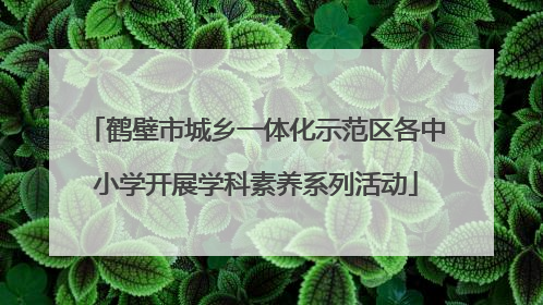 鹤壁市城乡一体化示范区各中小学开展学科素养系列活动